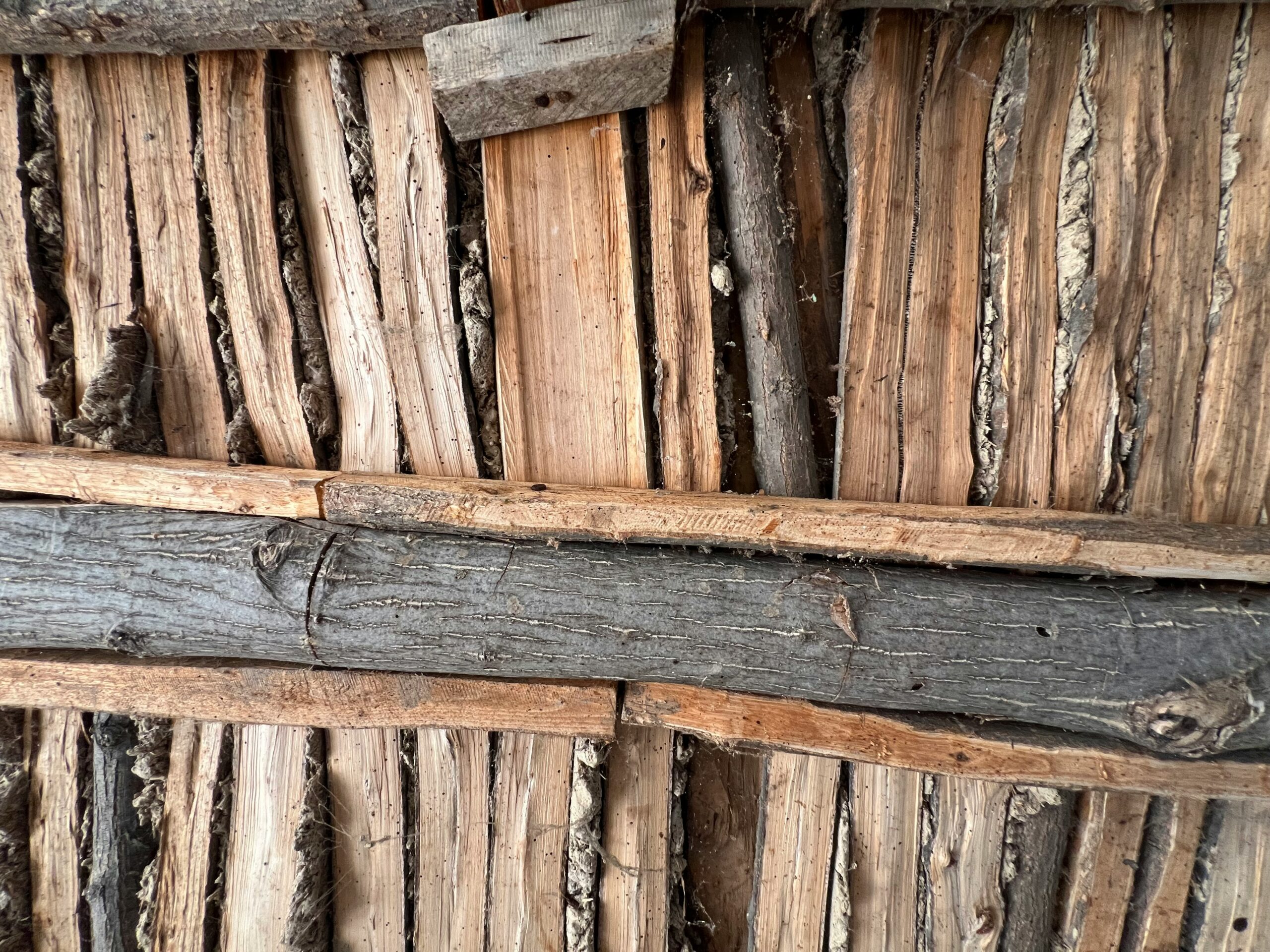 Cara Mencegah Rayap di Bangunan Kayu: Lindungi Properti Anda dengan Langkah Tepat