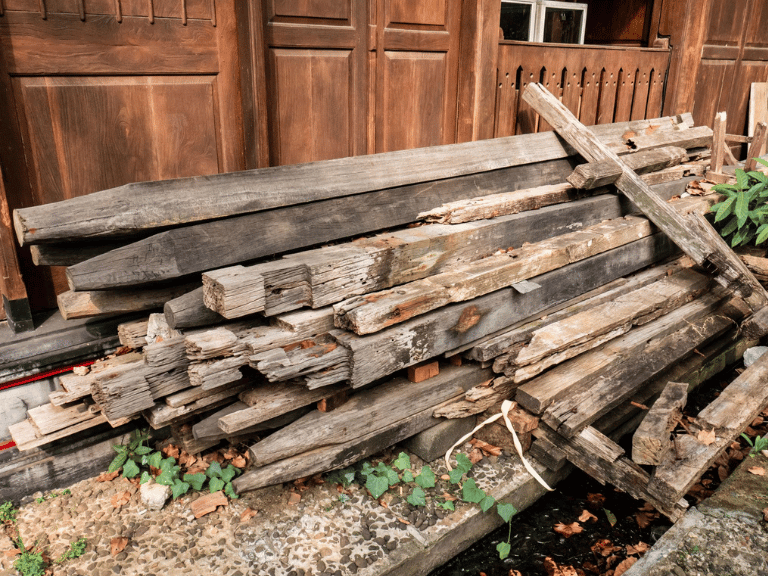 Cara Melindungi Bangunan Kayu dari Serangan Rayap: Solusi Efektif untuk Properti Anda di Bali