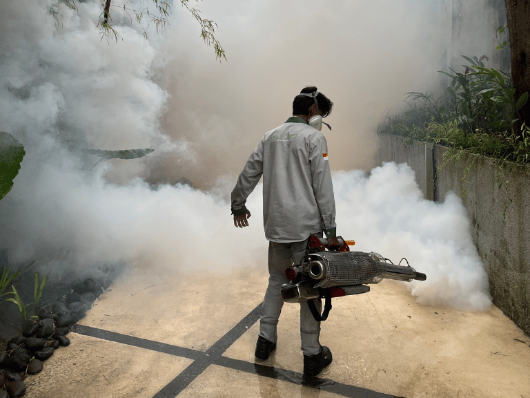 Jasa Fogging Nyamuk di Bali: Cara Efektif Mencegah DBD dan Mengendalikan Populasi Nyamuk