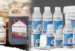 Beberapa contoh obat anti rayap terbaik yang digunakan untuk treatment rayap pada bangunan