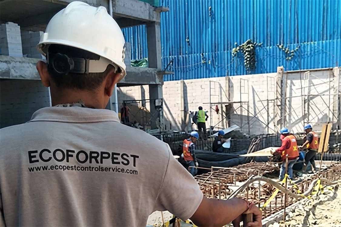 Petugas Ecoforpest sedang mengawasi proyek pemasangan jasa anti rayap sistem pipanisasi