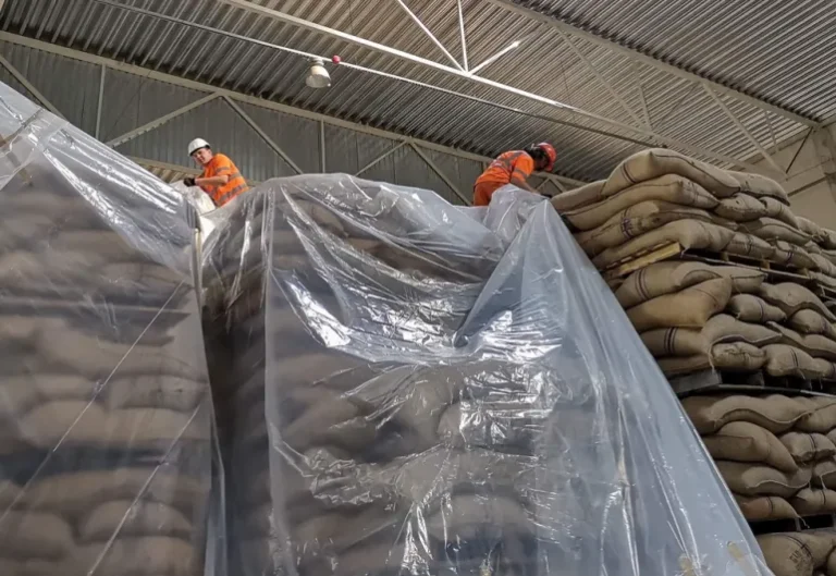 Proses fumigasi untuk mengatasi hama gudang pada tumpukan komoditas