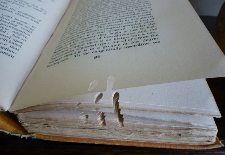 Kerusakan buku akibat hama kecil pada bagian tepi halaman