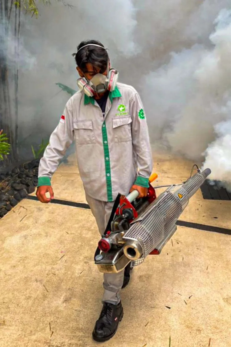 Petugas profesional jasa fogging nyamuk Bali menggunakan masker respirator saat membawa mesin thermal fogger.