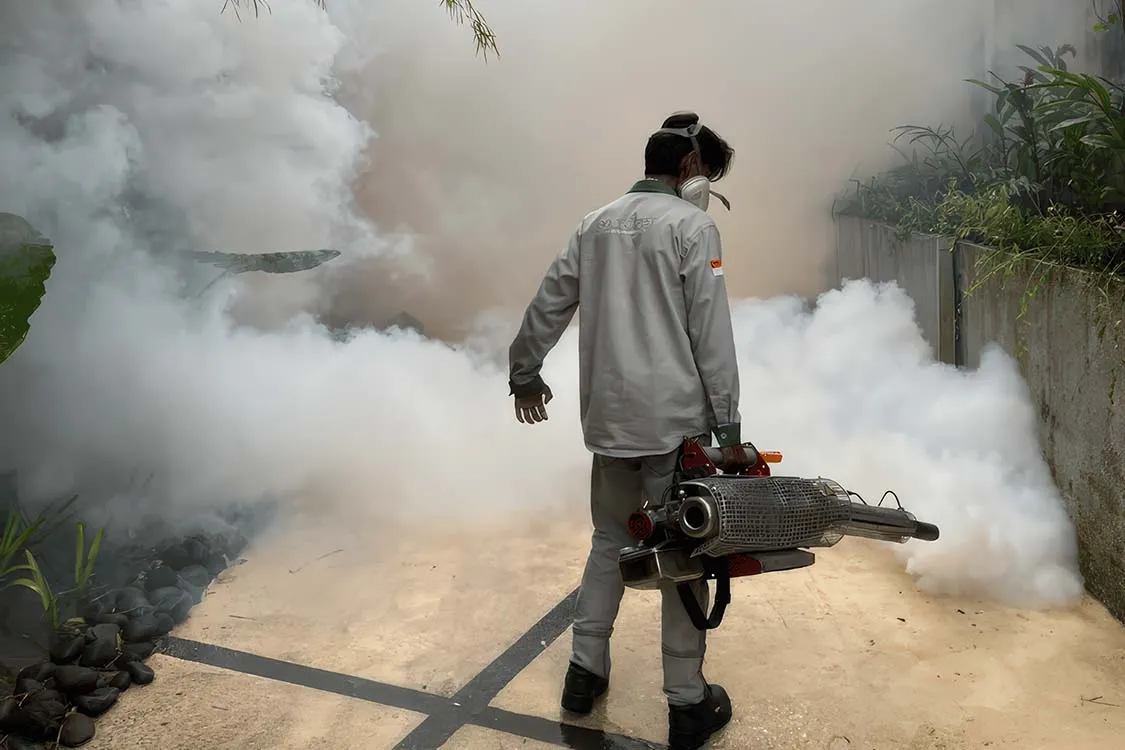 Proses penyemprotan asap tebal oleh jasa fogging nyamuk Bali untuk membasmi sarang nyamuk di area outdoor.