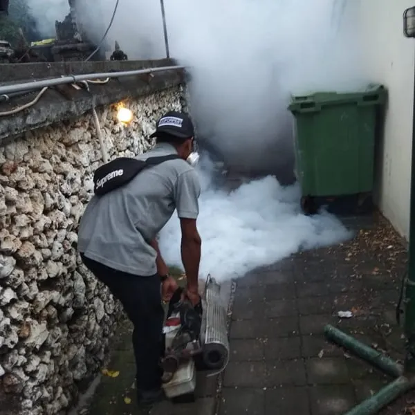 Teknisi Ecoforpest melakukan thermal fogging nyamuk di area luar bangunan