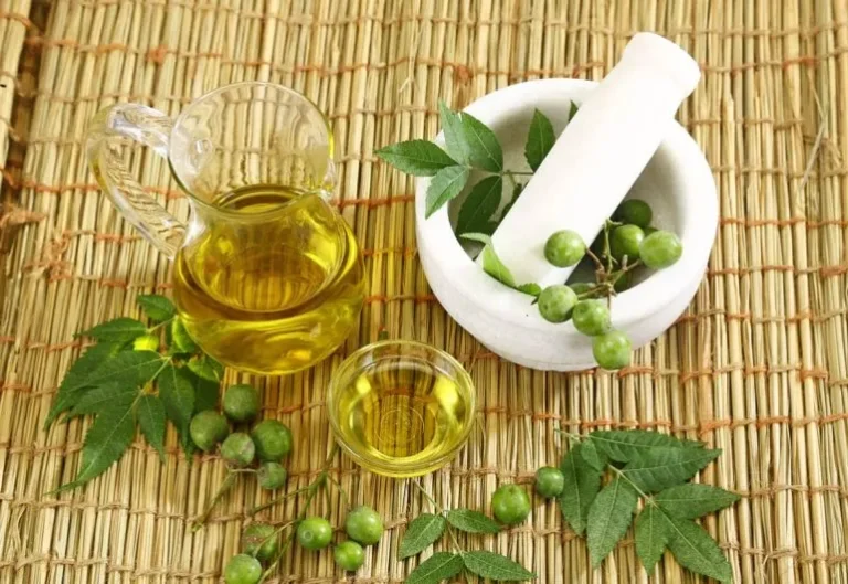 Minyak nimba neem oil dari biji dan daun nimba sebagai pestisida nabati