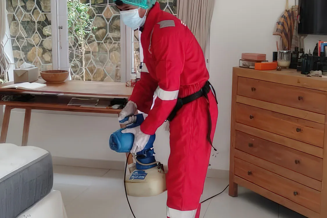 Penyemprotan disinfeksi pada bangunan oleh teknisi pest control Ecoforpest